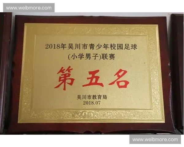 关于举办足球比赛的通知及参赛报名事项通知