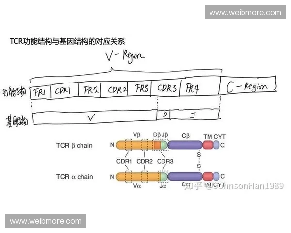 基于足球比赛核心防守原则的体系化策略研究与实战应用路径分析